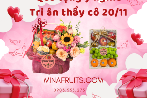 Gợi ý giỏ hoa trái cây sang trọng – Tri ân thầy cô 20/11
