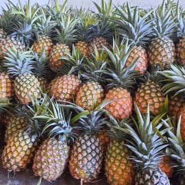 Dứa MD2 loại 1 - 2