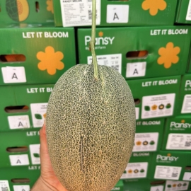 Dưa lưới Pansy