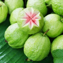 Ổi găng