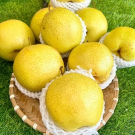 Lê mật Hà Giang
