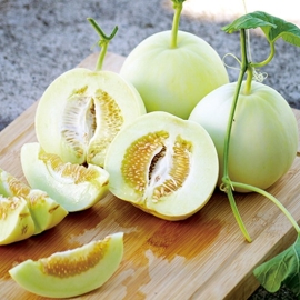 Dưa lê