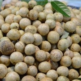 Nhãn long tiêu