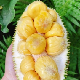 Mít tố nữ