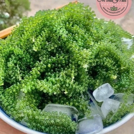 Rong nho 500gr