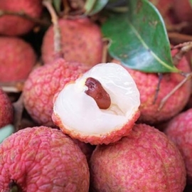 Vải thiều Thanh Hà