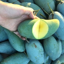 Xoài Thái