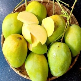 Xoài Tứ Quý